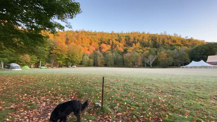 Rumney Rattlesnake Campground - American Alpine Club Picture 3
