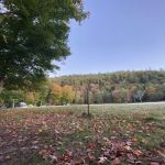 Rumney Rattlesnake Campground - American Alpine Club