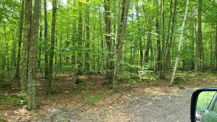 Zion's Recreation Camp Picture 6