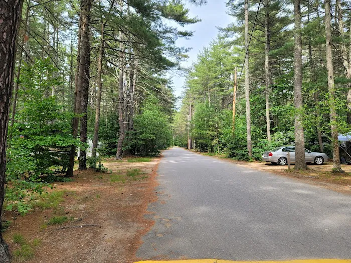 Pine Acres Campground Picture 7