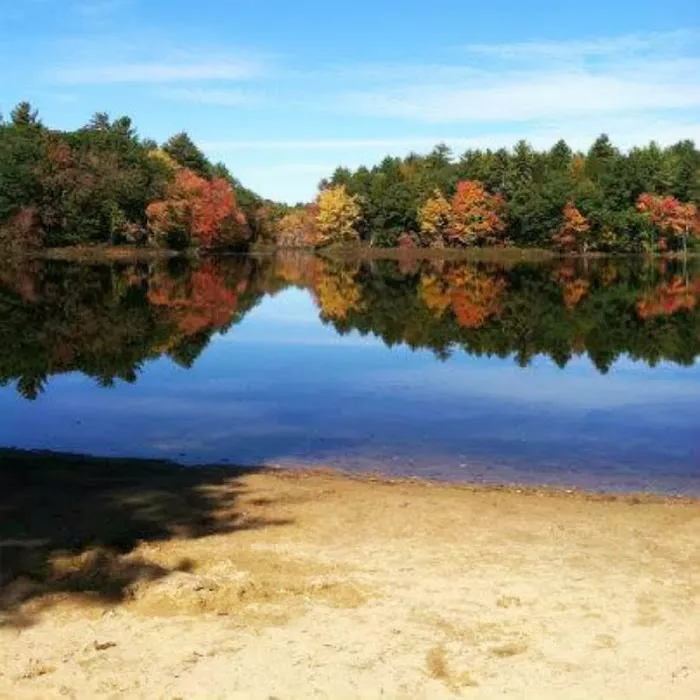 Pine Acres Campground Picture 10