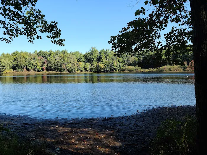 Pine Acres Campground Picture 9