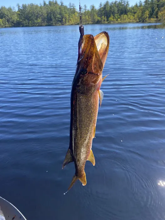 Beaver Pond Campground Picture 7