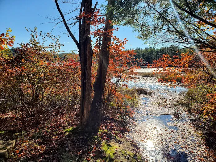 Beaver Pond Campground Picture 8