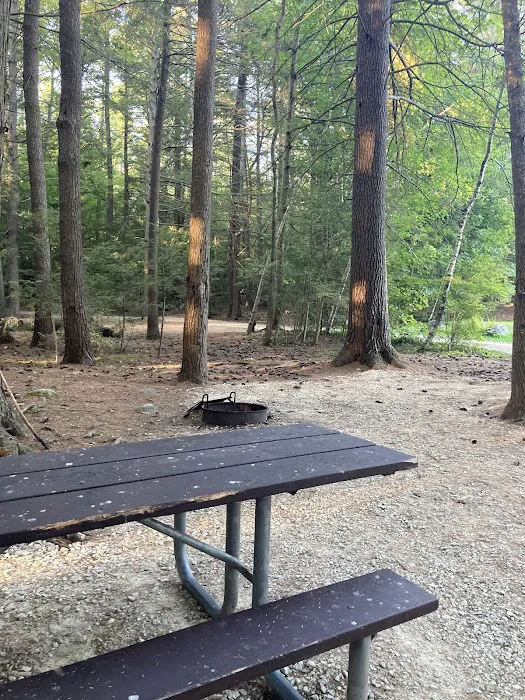 Neal’s Cove Campground Picture 5