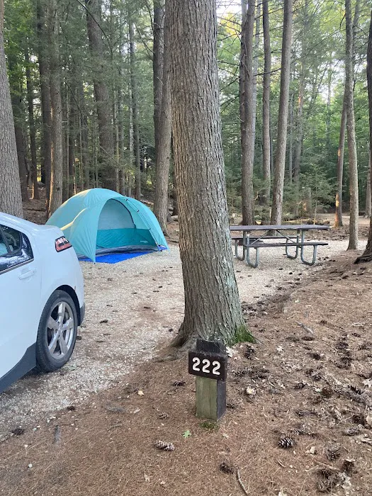 Neal’s Cove Campground Picture 6