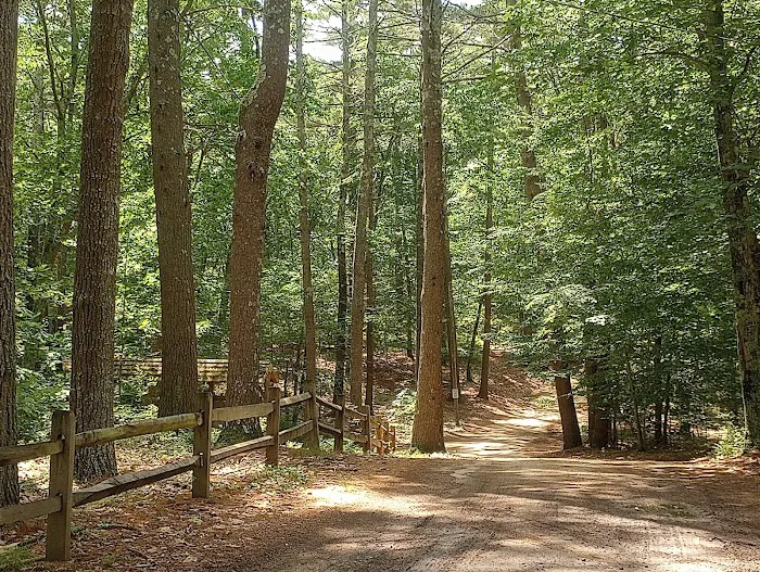 Lone Tree Camp & Cabins Picture 1