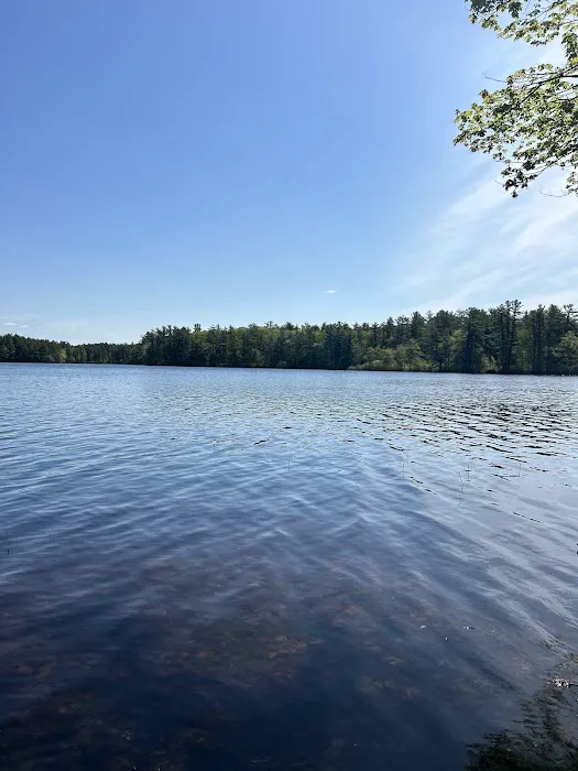 Lone Tree Camp & Cabins Picture 2
