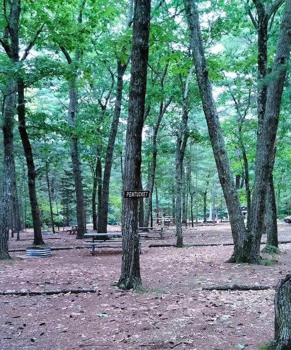 Lone Tree Camp & Cabins Picture 6