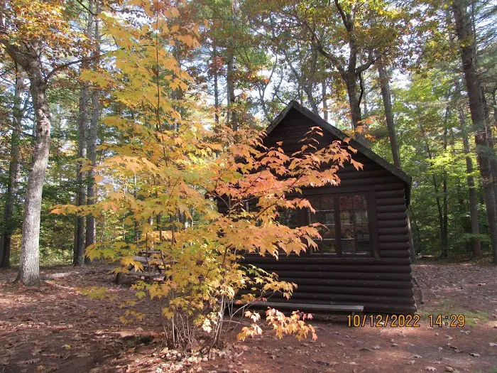 Lone Tree Camp & Cabins Picture 5