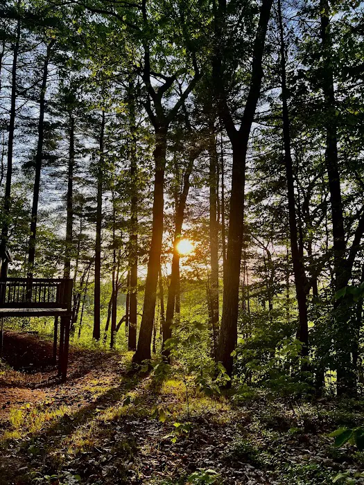 Lone Tree Camp & Cabins Picture 9