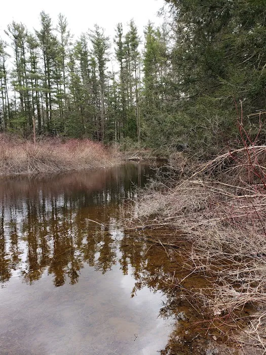 Green Gate Camping Area & Hall Picture 9