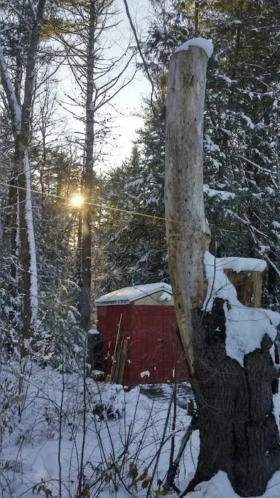 Green Gate Camping Area & Hall Picture 8