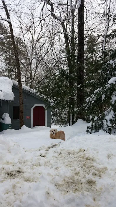 Green Gate Camping Area & Hall Picture 7