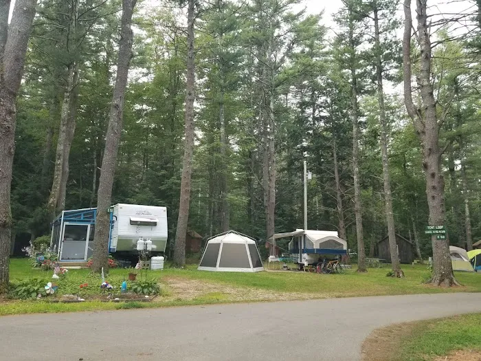 Black Bear Campground Picture 4