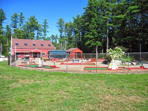 Black Bear Campground Picture 1
