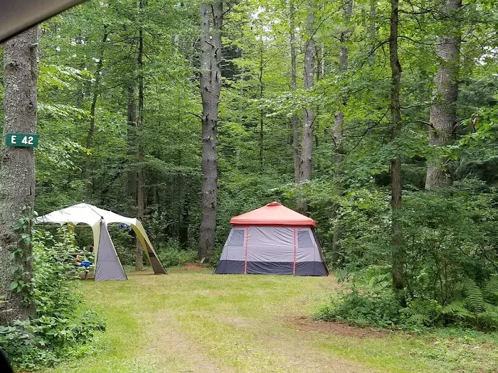 Black Bear Campground Picture 5