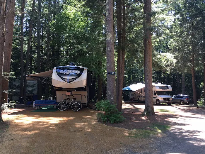 Black Bear Campground Picture 10