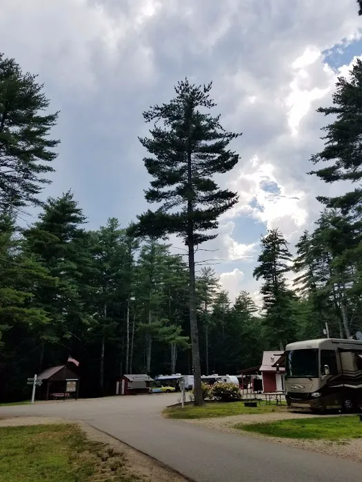 Black Bear Campground Picture 9
