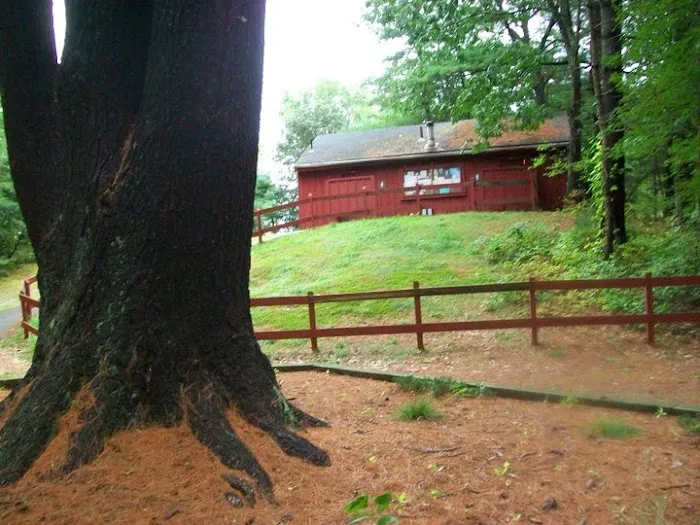 Rusnik Campground Picture 7