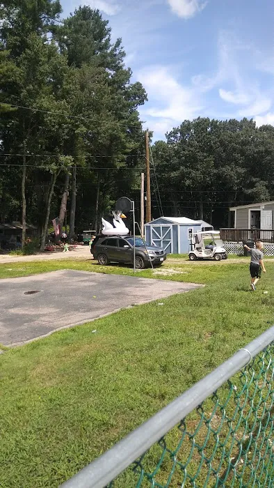 Wadleigh Falls Campground Picture 6