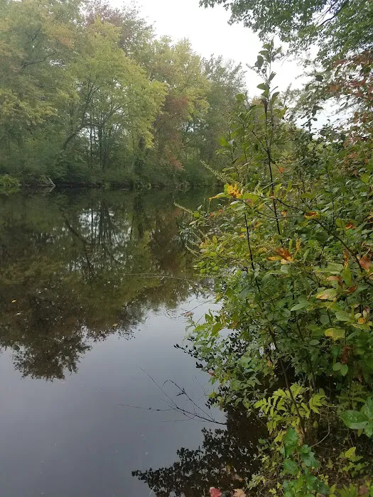 Wadleigh Falls Campground Picture 5