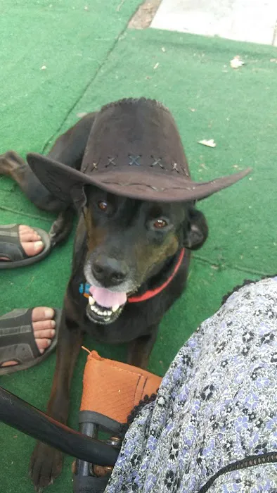 Wadleigh Falls Campground Picture 3