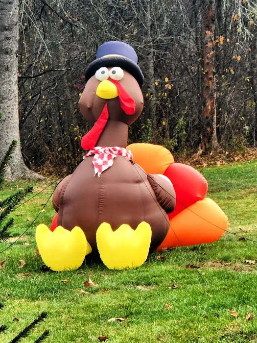 Wadleigh Falls Campground Picture 9