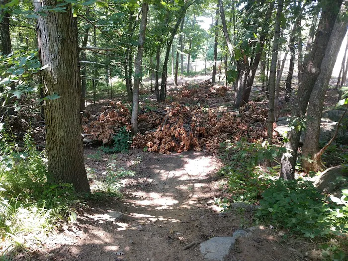 Twin Brooks Campground Picture 1