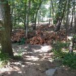 Twin Brooks Campground