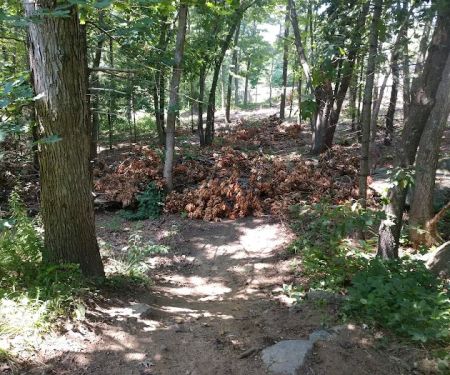 Twin Brooks Campground