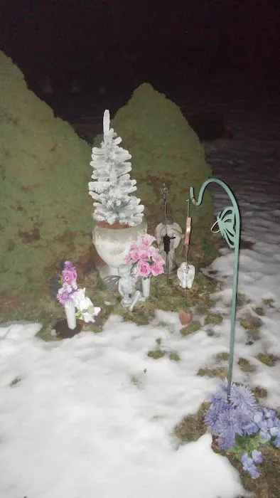 Twin Brooks Campground Picture 4