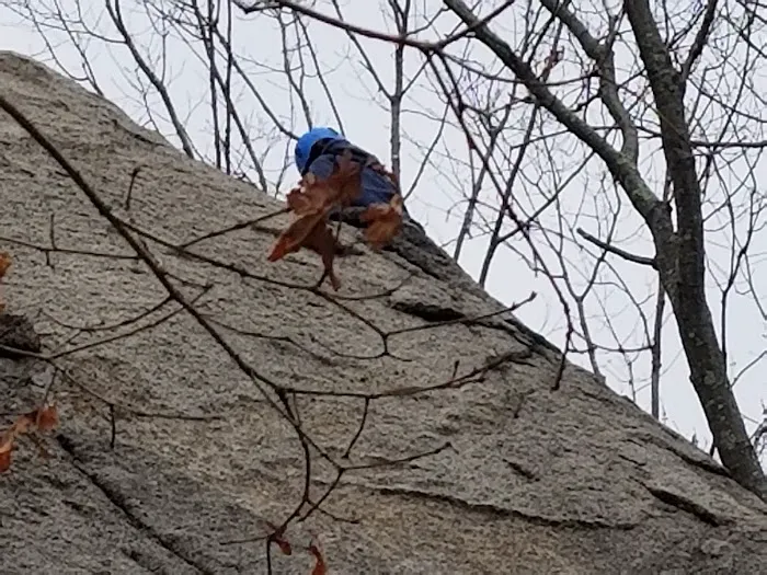 New England Base Camp Picture 8