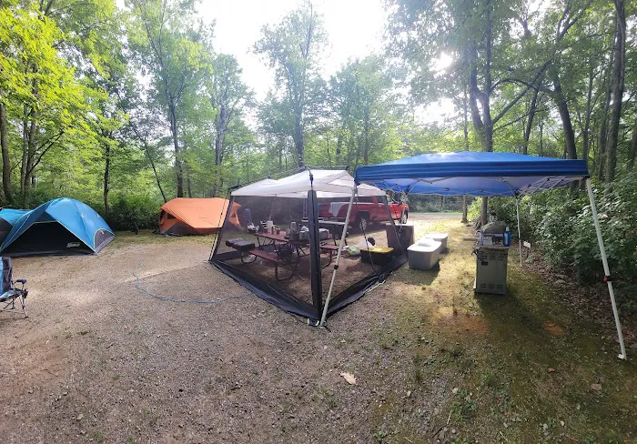 Pines Camping Area Picture 2