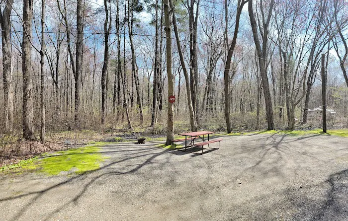 Pines Camping Area Picture 7