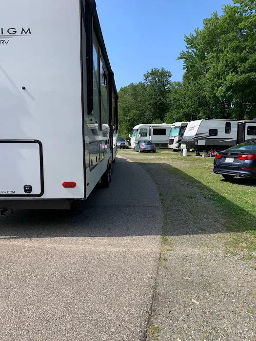Beach Rose RV Park Picture 2