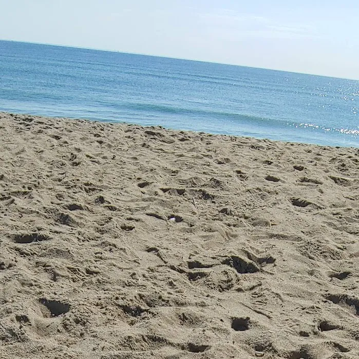 Salisbury Beach Campground Picture 3