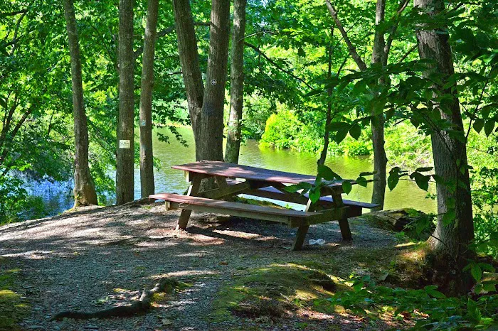 Newport RV Park Picture 2