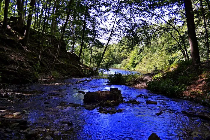 Newport RV Park Picture 4