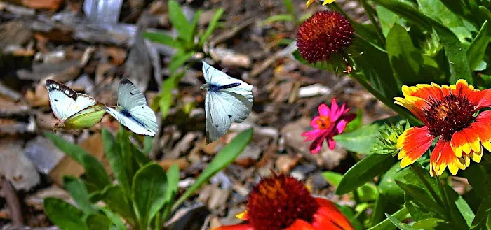 Newport RV Park Picture 6