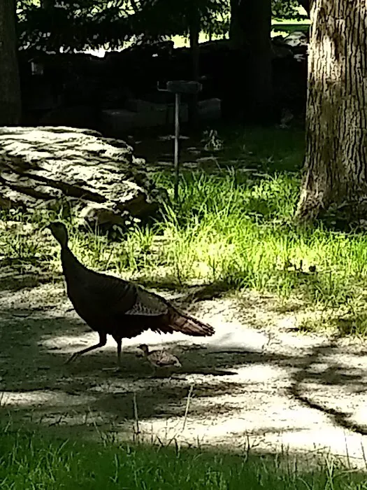 Portsmouth Camp Meeting Picture 8