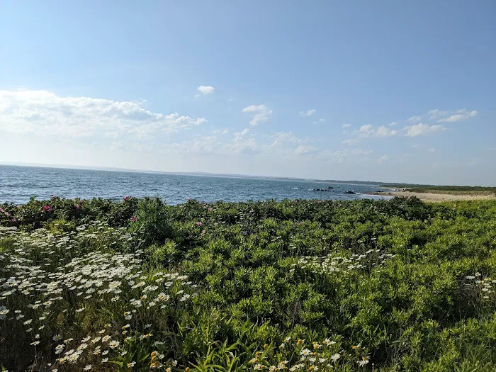 Horseneck Beach State Reservation Campground Picture 6