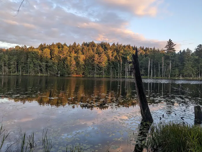 Hague rest area Picture 1