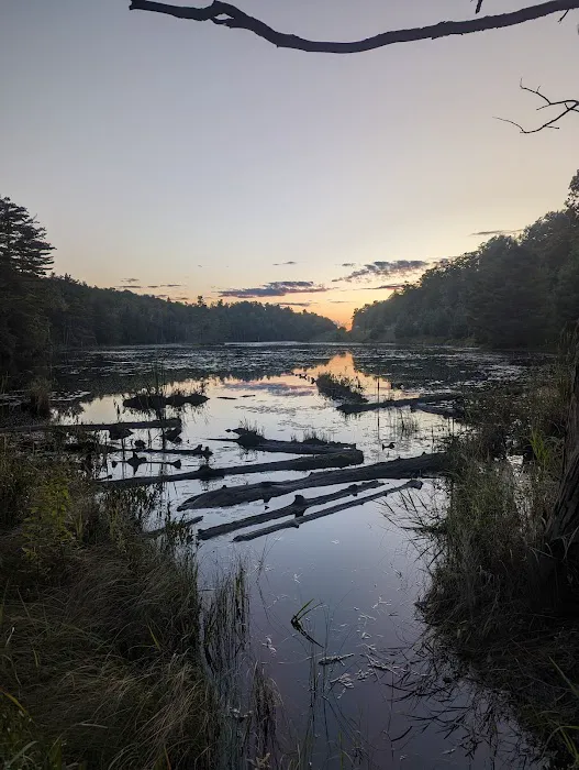 Hague rest area Picture 3