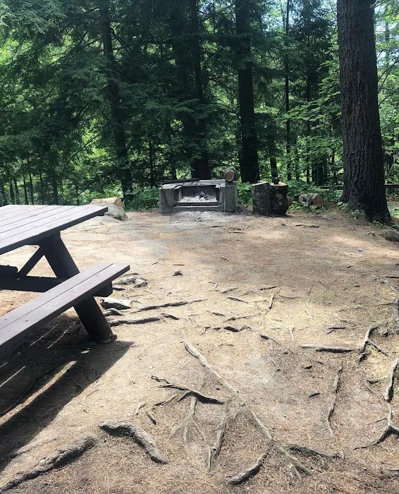 Putnam Pond Campground Picture 9