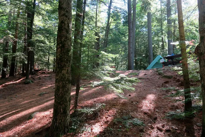 Putnam Pond Campground Picture 6