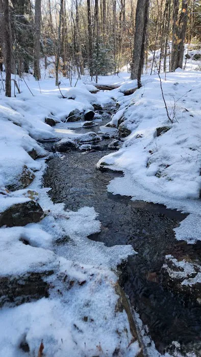 Putnam Pond Campground Picture 3