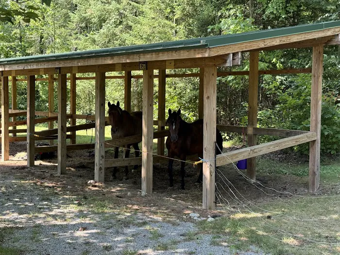 Frontier Town Campground, Equestrian and Day Use Area Picture 5