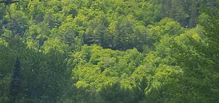 Frontier Town Campground, Equestrian and Day Use Area Picture 2