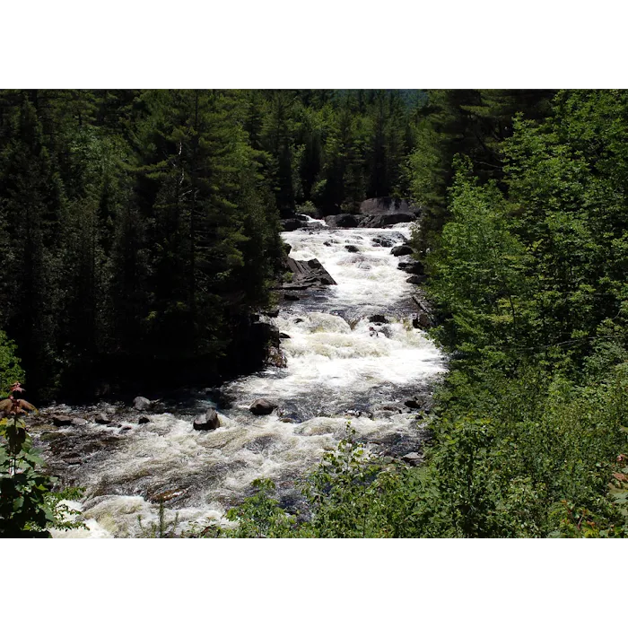 Blue Ridge Falls Campsites Picture 10